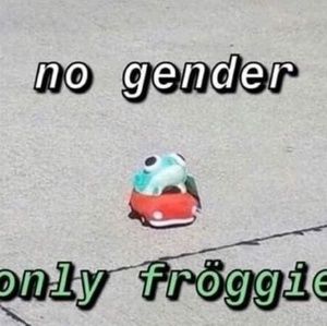 Meet your Posher, Rae